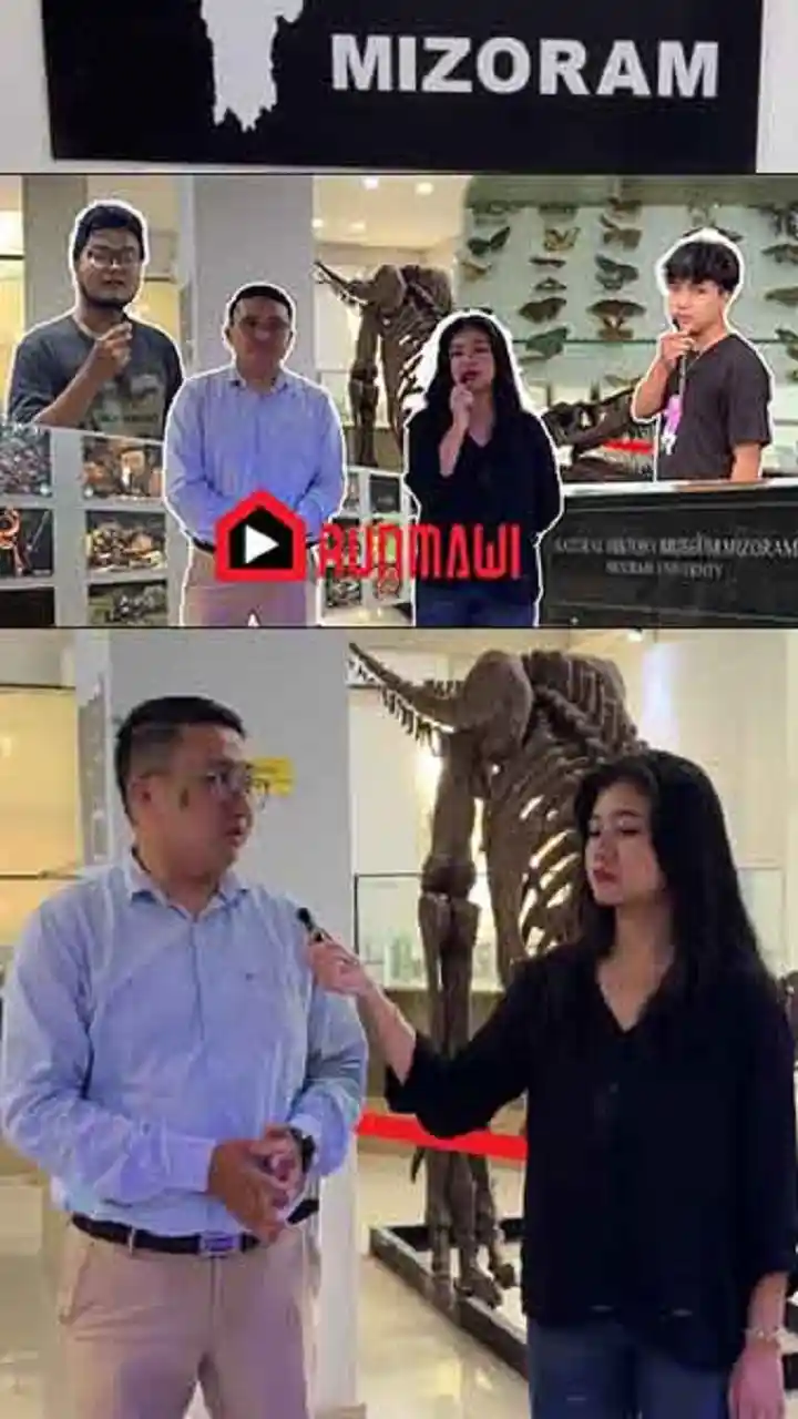 RUNMAWI THUL || NATURAL HISTORY MUSEUM & RESERARCH CENTRE MIZORAM UNIVERSITY FANNA